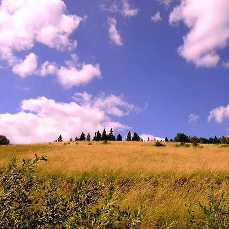 Sokola Skala Διαμέρισμα *
